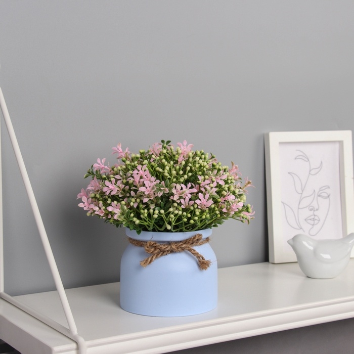 Бонсай в горшке Бонсай в горшке "Бувардия галант" 17х10 см, микс