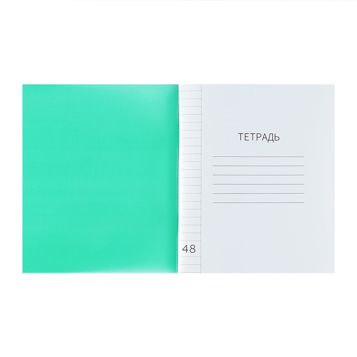 Тетрадь 48 листов в линию Calligrata "Зелёная", пластиковая обложка, с алфавитом, блок офсет