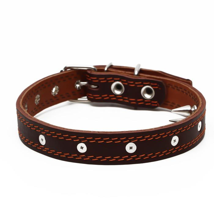 Ошейник кожаный  Ошейник кожаный "Строгий шип", 56 х 2.5 см, ОШ 35-45 см, коричневый