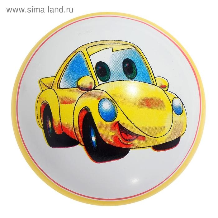 Мяч резиновый, диаметр 100 мм, (рисунок), цвета МИКС Мяч резиновый, диаметр 100 мм, (рисунок), цвета МИКС