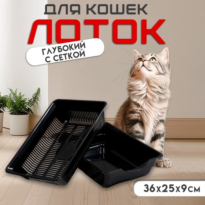 Туалет глубокий с сеткой 36 х 25 х 9 см, чёрный Туалет глубокий с сеткой 36 х 25 х 9 см, чёрный