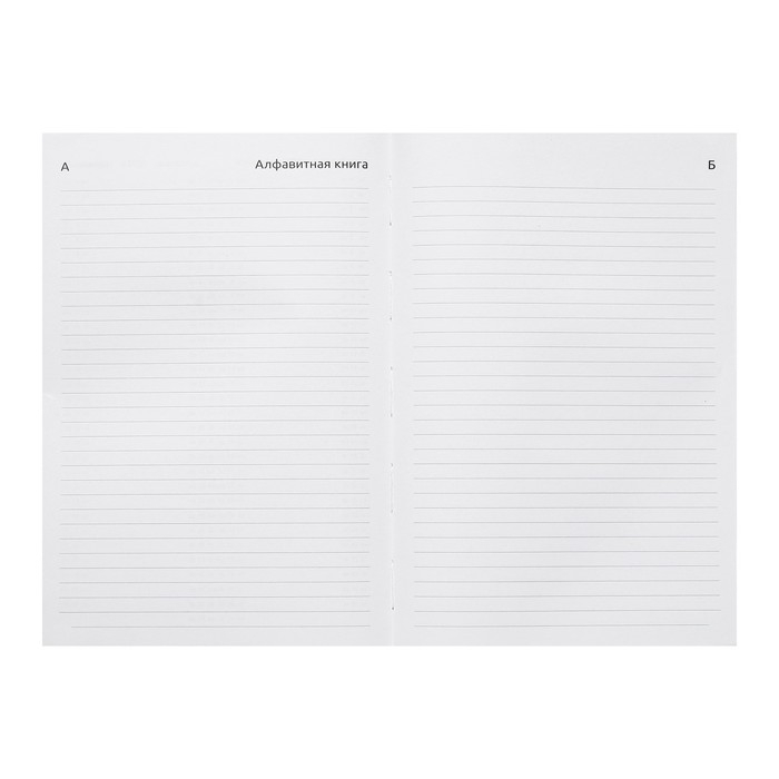 Ежедневник датированный 2024 года, А5, 176 листов, Attomex.Arkona, обложка бумвинил, ляссе, блок 70 г/м2, синий Ежедневник датированный 2024 года, А5, 176 листов, Attomex.Arkona, обложка бумвинил, ляссе, блок 70 г/м2, синий