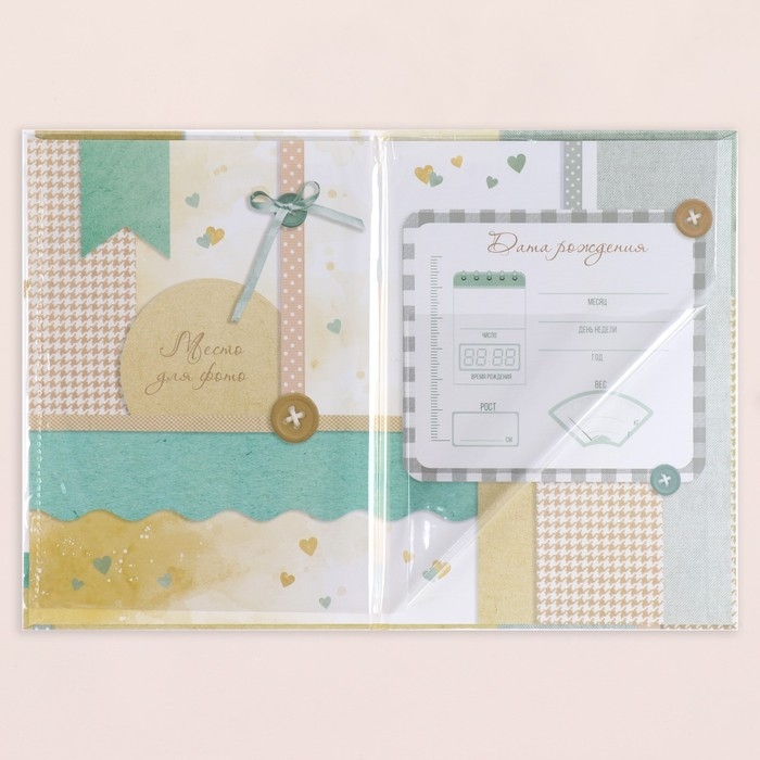 Свидетельство о рождении Свидетельство о рождении "Мишка" тиснение, А5