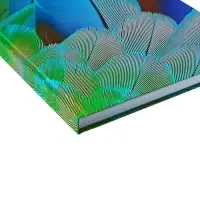 Колледж-тетрадь Calligrata TOP &laquo;Перья&raquo; А4, 160 листов, в клетку, в твёрдой обложке 7БЦ, матовая ламинация, выборочный лак