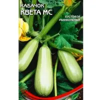 Семена Кабачок &laquo;Квета Мс&raquo;, 11 шт., &laquo;Дом семян&raquo;
