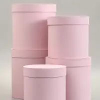 Набор круглых коробок 5 в 1 &laquo;Краски&raquo;, пыльная роза, 25&times;25&times;25 - 19&times;19&times;19 см