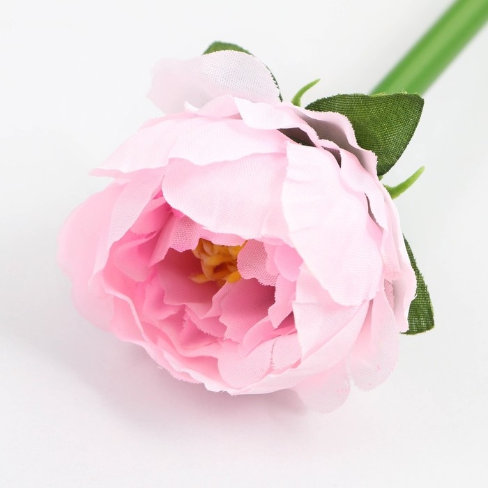 Подарочная ручка «Учителю: С Днём Учителя», пластик, синяя паста, пишущий узел 1 мм