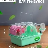 Клетка для грызунов &laquo;Пижон&raquo;, 23&times;17&times;15 см, с наполнением, зеленая
