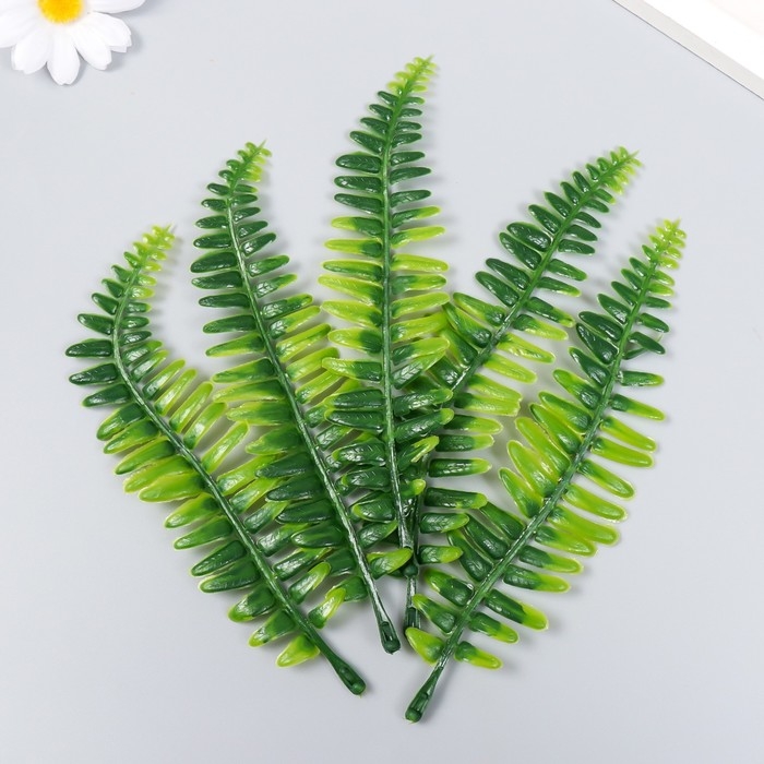 Декор для творчества Декор для творчества "Лист нефролеписа" набор 5 шт зелёный 16 см