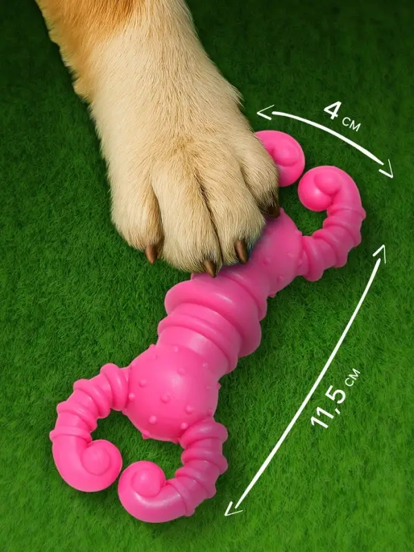 Игрушка для собак резиновая &laquo;Гантель-крабы&raquo;, TPR, 11.5&times;2 см, розовая