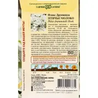 Семена цветов Флокс Птичье молоко, Друммонда* 8 шт. серия Элитная клумба DH