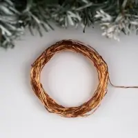 Гирлянда &laquo;Нить&raquo; 10 м, роса, IP20, медная нить, 100 LED, свечение белое, 12 В