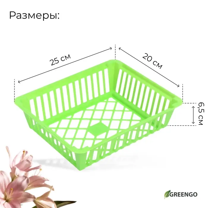 Корзина для луковичных, квадратная, 25×20 см, зелёная, Greengo Корзина для луковичных, квадратная, 25×20 см, зелёная, Greengo