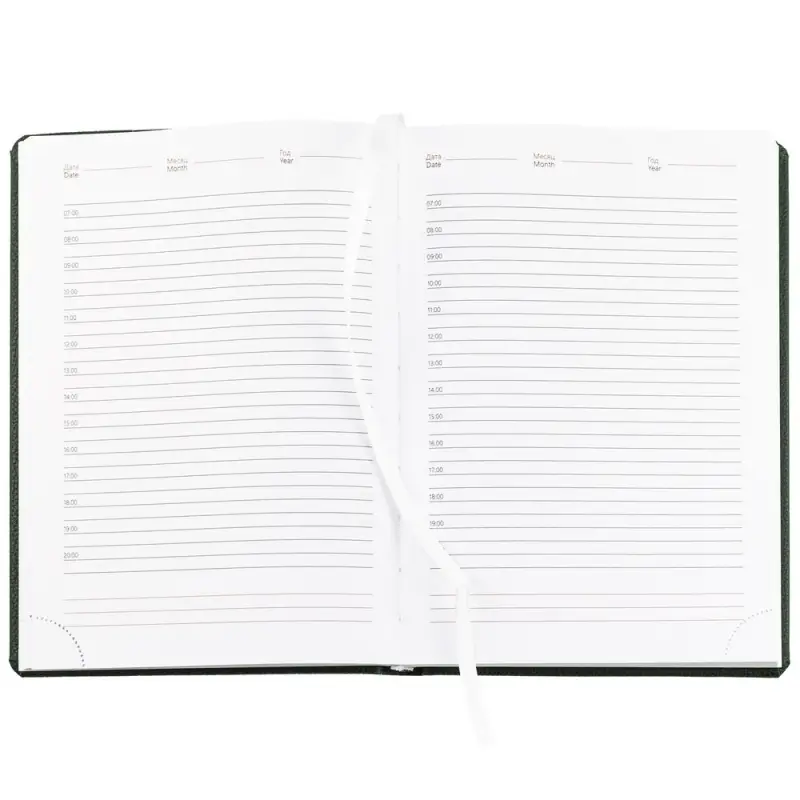 Ежедневник Sagrin, недатированный, зеленый