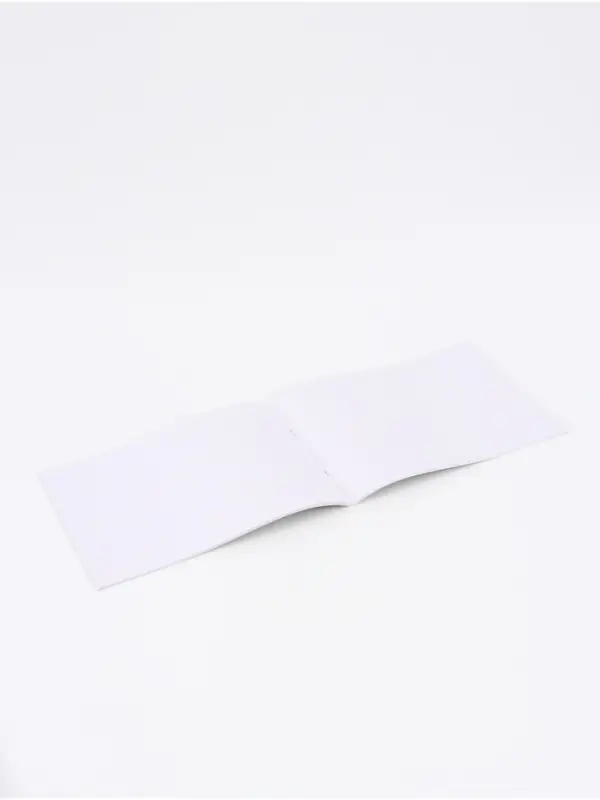 Альбом для рисования А4, 24 листа 90 г/м&sup2;, на скрепке, &laquo;Смешарики&raquo;