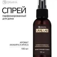 Спрей парфюмированный для дома, ароматизатор воздуха, аромат инжира и ириса, 100 мл, URAL LAB
