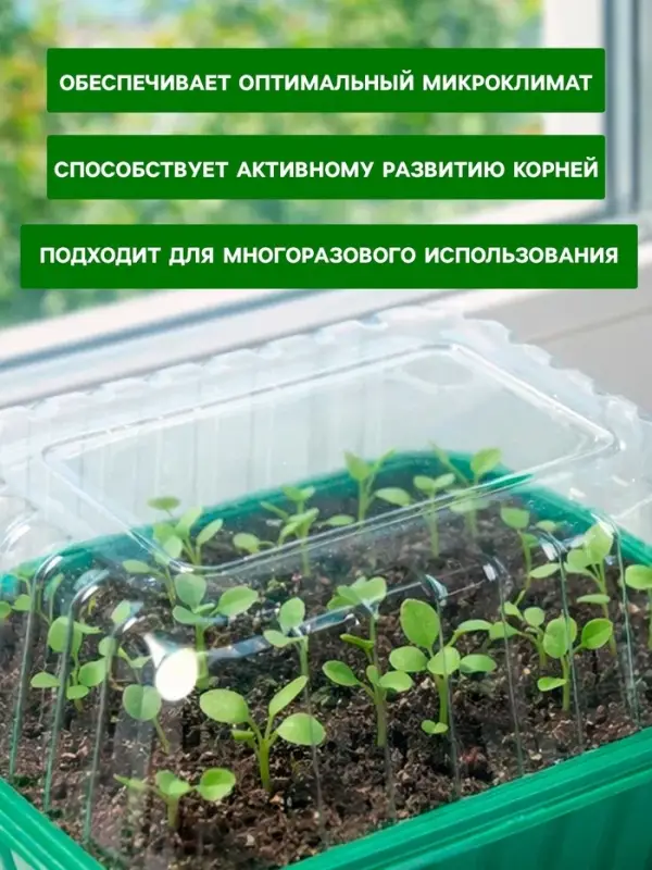 Мини - парник для рассады, 21&times;16&times;12, без вставок, пластик, Greengo