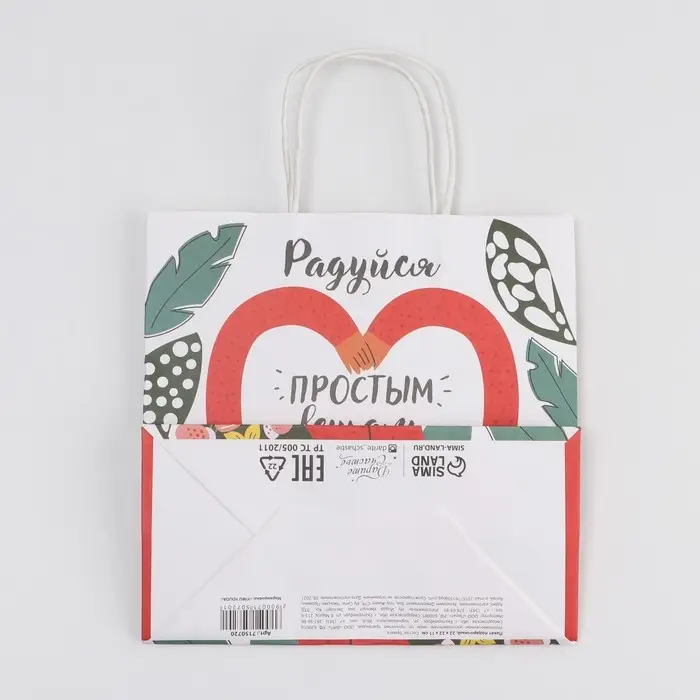 Пакет подарочный, упаковка, &laquo;Радуйся&raquo;, 22&times;22&times;11 см