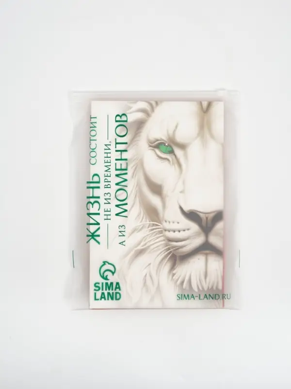 Пакет подарочный «Новогодний подарок», с носком для подарков, 18 × 23 × 11 см Пакет подарочный «Новогодний подарок», с носком для подарков, 18 × 23 × 11 см