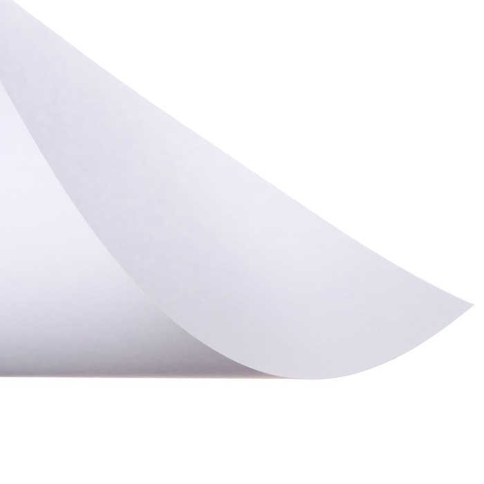 Набор ватманов чертёжных А2, 200 г/м², 20 листов Набор ватманов чертёжных А2, 200 г/м², 20 листов