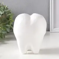 Копилка для денег &laquo;Зуб&raquo;, гипс, белый, 13&times;14&times;19 см