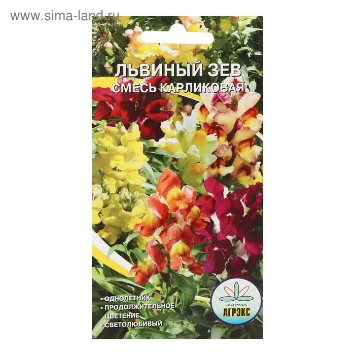 Семена цветов однолетние Львиный зев карликовая смесь  0,1 Семена цветов однолетние Львиный зев карликовая смесь  0,1