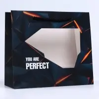 Пакет подарочный с окном Perfect, 25&times;10&times;22 см