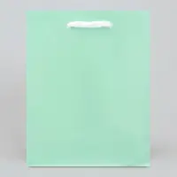 Пакет подарочный ламинированный, упаковка, &laquo;Зелёный&raquo;, S 12 х 15 х 5.5 см