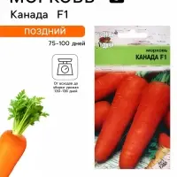 Семена Морковь &laquo;Канада&raquo;, F1, 0.2 г, &laquo;Урожай удачи&raquo;