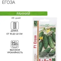 Семена Огурец &laquo;Егоза&raquo;, F1, &laquo;1+1&raquo;, 20 шт., &laquo;Гавриш&raquo;