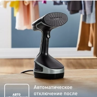 Ручной отпариватель Access Steam Force DT8270E1
