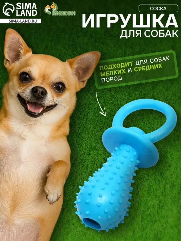 Игрушка жевательная &laquo;Соска&raquo;, TPR, 10&times;3 см, голубая