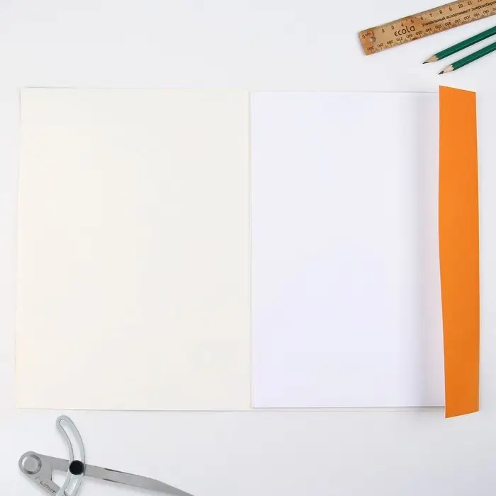 Бумага для черчения А4, 20 листов, без рамки, белизна 100%, 160 г/м² в папке Бумага для черчения А4, 20 листов, без рамки, белизна 100%, 160 г/м² в папке