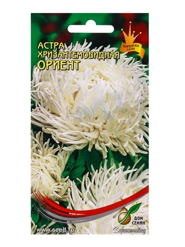Семена цветов Астра хризант. Ориент 85 шт