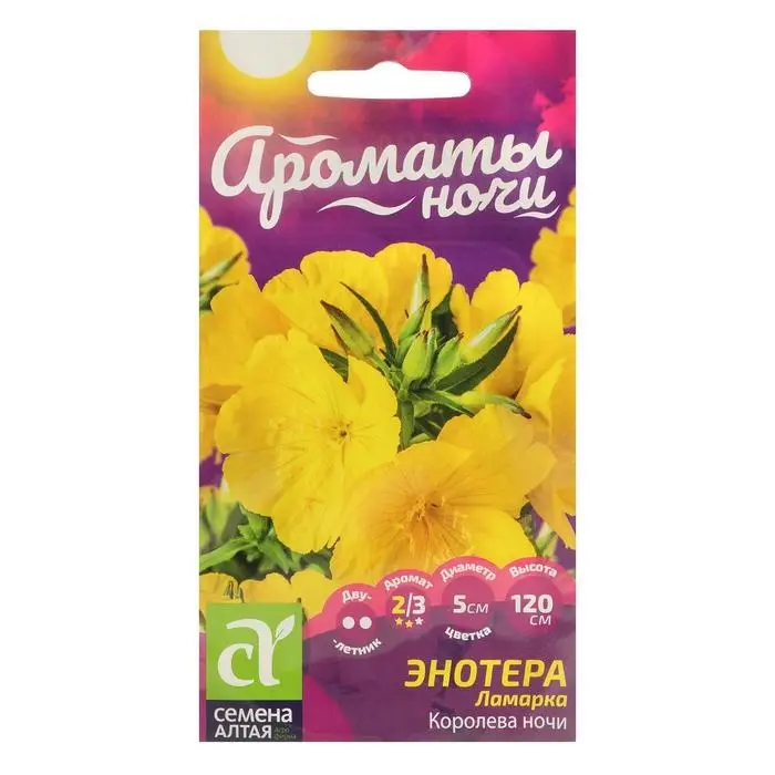 Семена цветов Энотера Семена цветов Энотера "Королева ночи", ц/п, 0,3 г