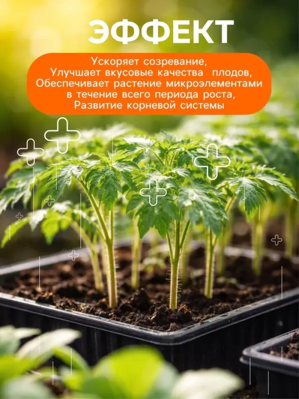 Удобрение минеральное для рассады и саженцев, Dr.Grunt, 700 г