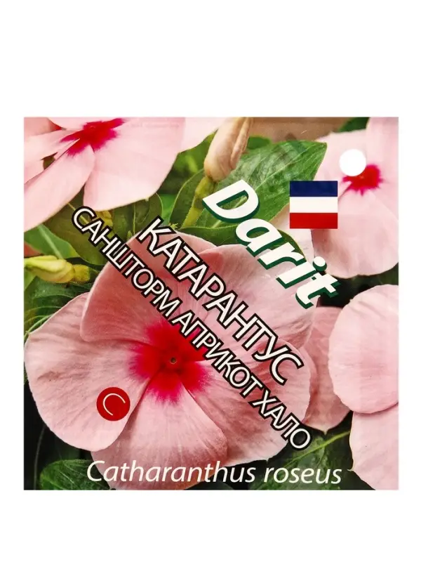 Семена цветов Катарантус Саншторм "Априкот Хало", О, 10 шт