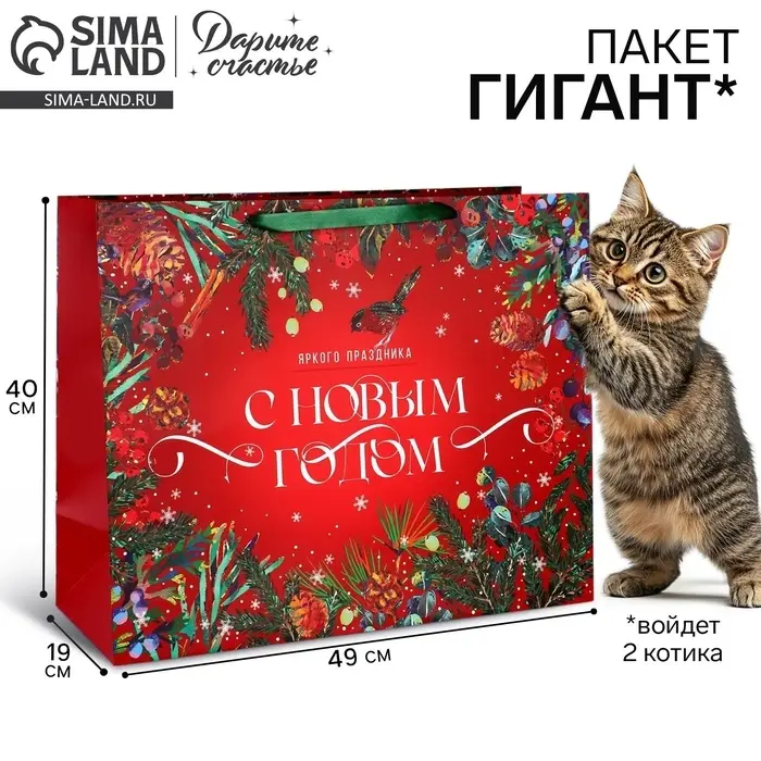 Пакет подарочный новогодний ламинированный &laquo;С Новым годом&raquo;, XL 49&times;40&times;19 см