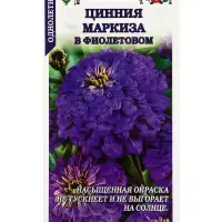 Семена цветов Цинния &laquo;Маркиза в Фиолетовом&raquo;, 0.2 г, &laquo;Золотая Сотка Алтая&raquo;