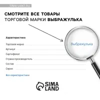 Детский набор косметики &laquo;Самая чудесная&raquo;, блеск для губ, косметичка, заколки 2 шт., Выбражулька