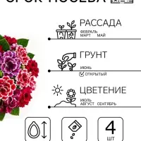 Семена цветов Глоксиния "Брокада", ц/п, F1, гранулы, 4 шт.