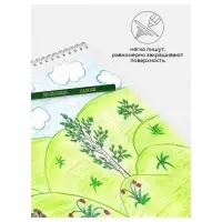 Карандаши цветные 12 цветов &laquo;Гамма. Мультики&raquo;, трёхгранные, заточенные, картонная упаковка, (290122_12)