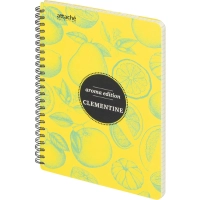 Бизнес-тетрадь  ароматизир.100л,кл,А5, КЛЕМЕНТИН,спир,тонир.блок 84906