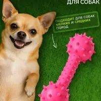 Жевательная игрушка для собак &laquo;Грозная гантель&raquo;, 15&times;5 см, розовая