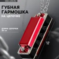Губная гармошка Music Life 4 отверстия, 8 тонов, 3.5&times;1.5&times;1 см, цепь 28 см, красная