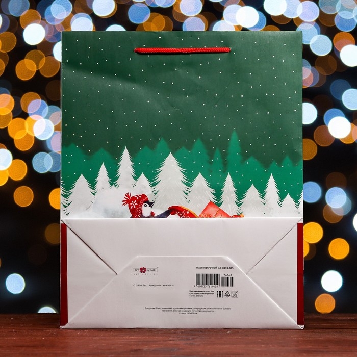 Новый год. Пакет подарочный "Нарядная зима ", 26 х 32 х 12 см.