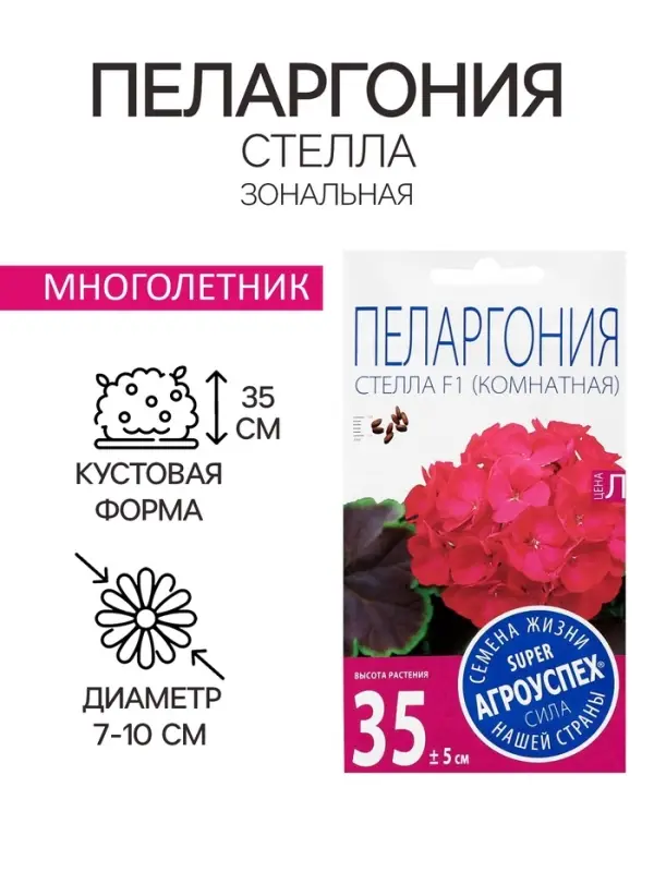 Семена цветов Пеларгония зональная &laquo;Стелла&raquo;, F1, 4 шт.