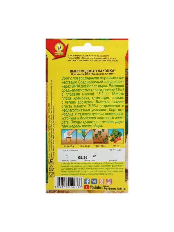 Набор семян Дыня Набор семян Дыня "Медовая лакомка", 5 шт.