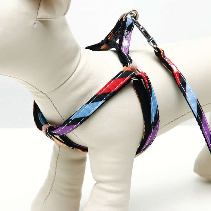 Комплект амуниции двухслойный, S, поводок 120х1 см,ОШ 24-38 ОГ 29-41 см, разноцветные полосы 96837 Комплект амуниции двухслойный, S, поводок 120х1 см,ОШ 24-38 ОГ 29-41 см, разноцветные полосы 96837