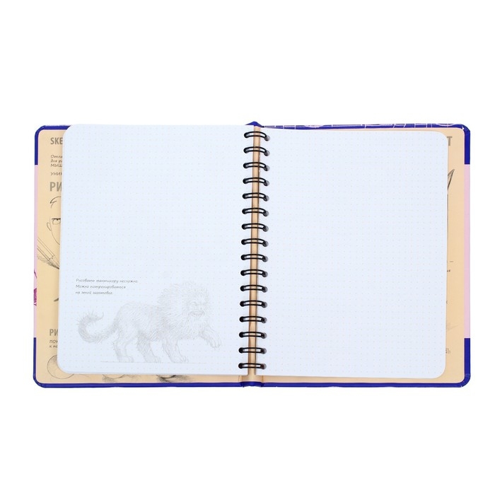 Скетчбук Эксмо ДРСКндск. Sketchbook. Фантастические существа Скетчбук Эксмо ДРСКндск. Sketchbook. Фантастические существа